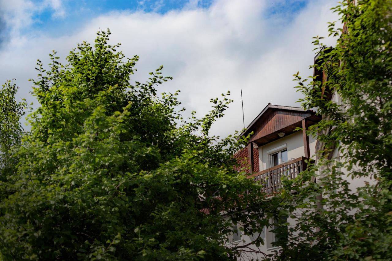 Alabastrom Panzio Es Etterem Bed & Breakfast Bogacs Exterior photo