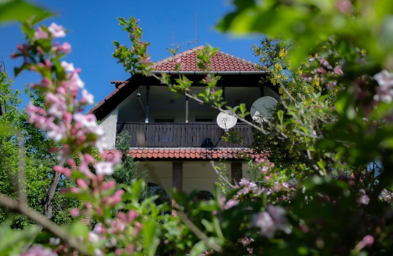 Alabastrom Panzio Es Etterem Bed & Breakfast Bogacs Exterior photo