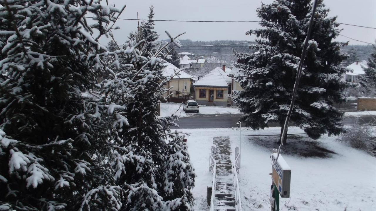 Alabastrom Panzio Es Etterem Bed & Breakfast Bogacs Exterior photo
